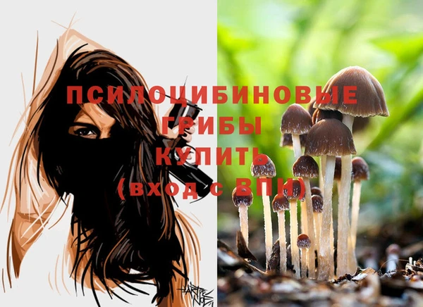 дистиллят марихуана Богданович
